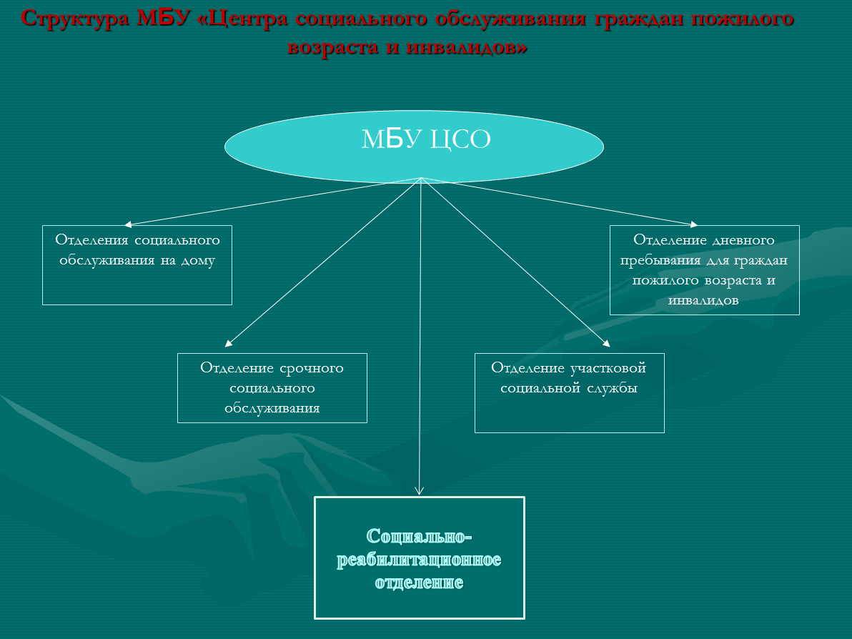 Организация работы центра социального обслуживания